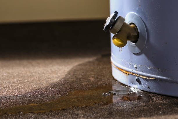 Best Mold removal after water damage  in Bellport, NY