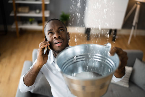 Best Water damage cleanup near me  in Bellport, NY