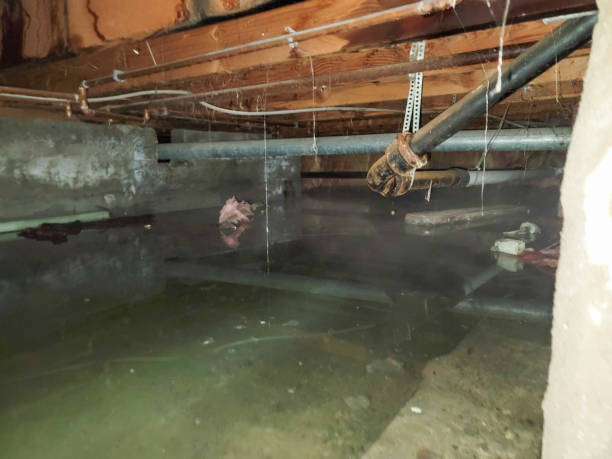 Best 24/7 water damage repair  in Bellport, NY
