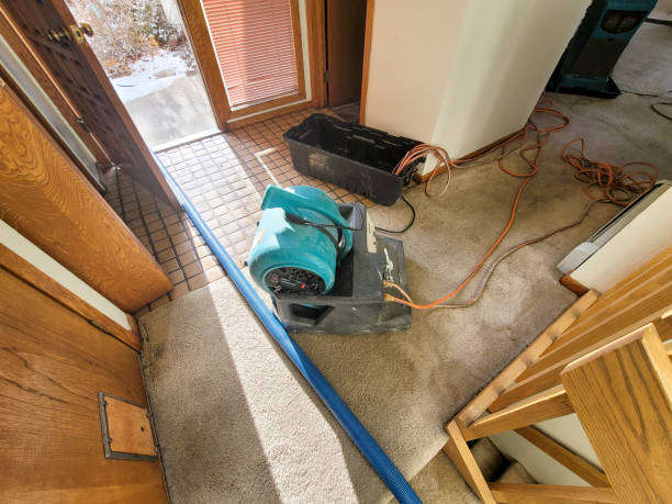 Carpet water damage restoration in Bellport, NY