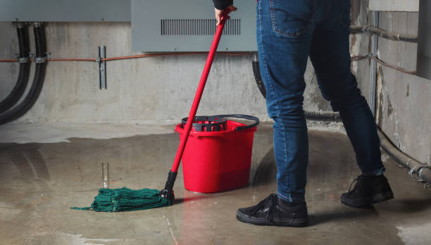 Best 24/7 water damage repair  in Bellport, NY