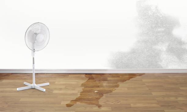 Best Emergency water damage restoration  in Bellport, NY