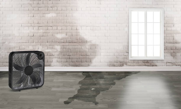 Best Residential water damage restoration  in Bellport, NY