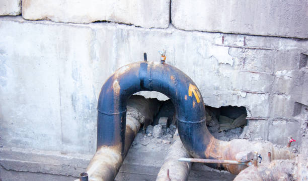 Best Flood damage cleanup  in Bellport, NY