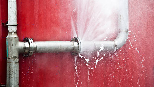Best Water damage cleanup near me  in Bellport, NY